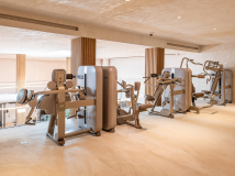 Вертикальный велотренажер TECHNOGYM Artis Luxury Bike