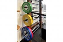 Набор обрезиненных дисков DESIRE FITNESS FW004 5-20 кг